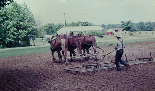 Kenton-Amish-Community